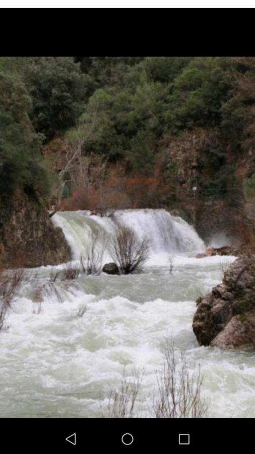 Apartamentos Buena Vista 2 Coto Rios Dış mekan fotoğraf